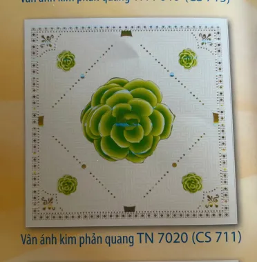 Vân Ánh Kim Phản Quang TN7020