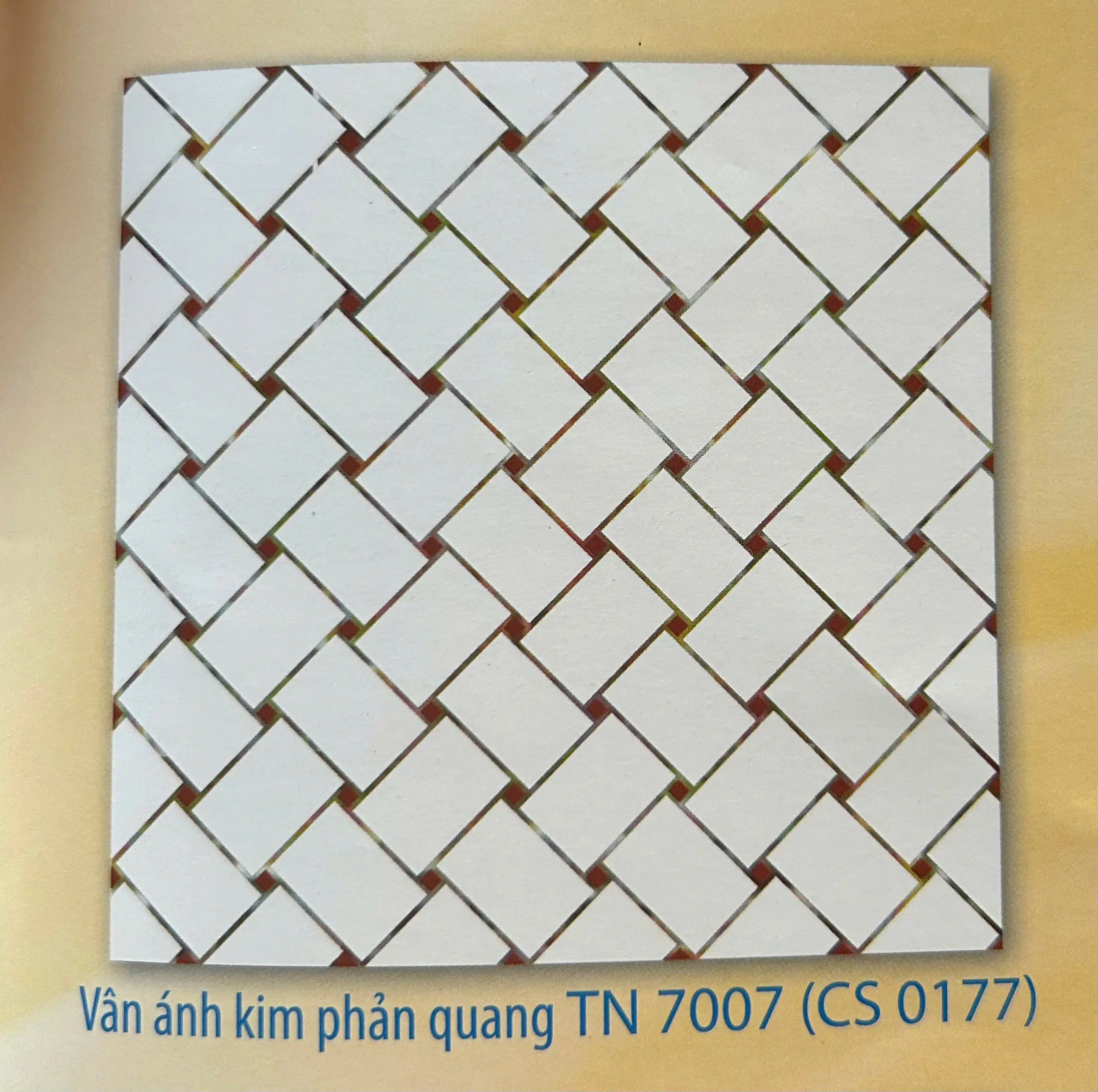 TẤM NHỰA 0177