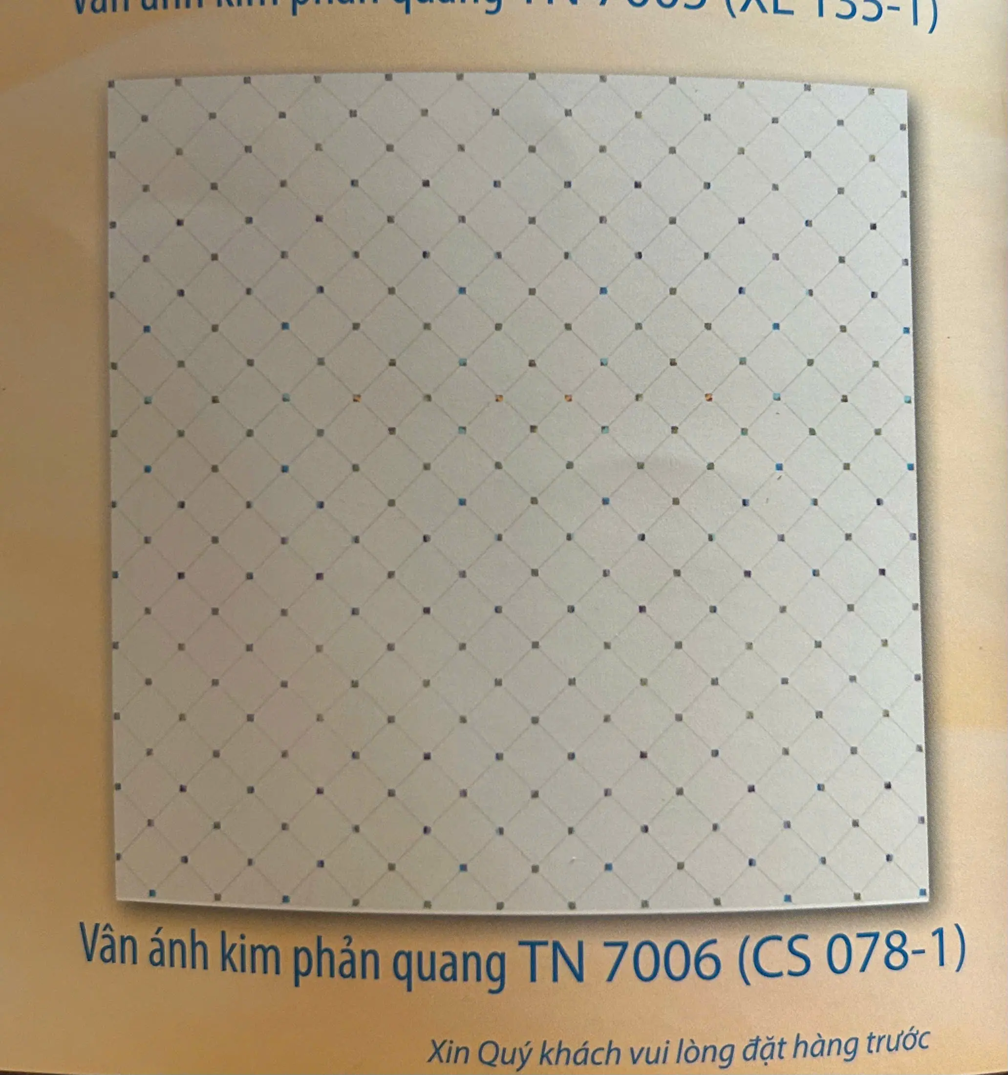 TẤM NHỰA 078-1