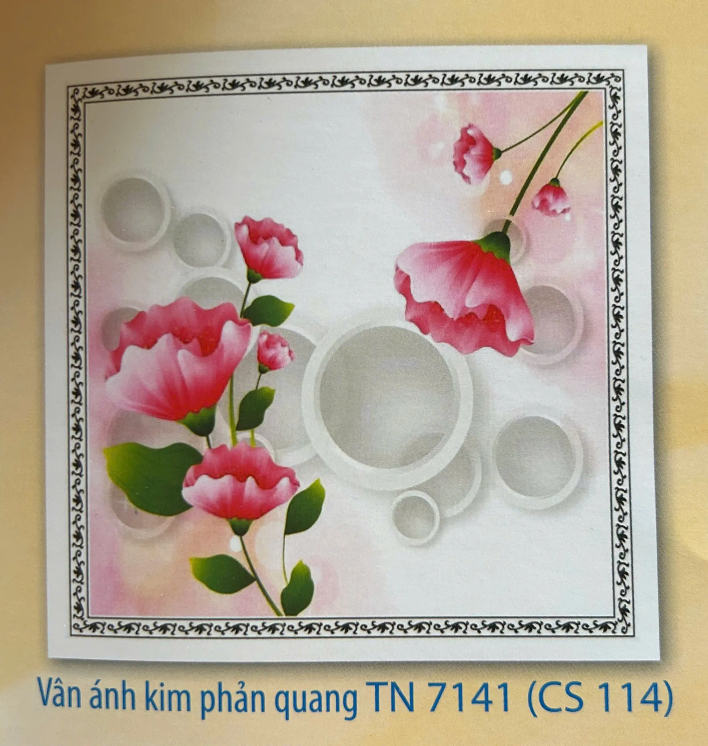 TẤM NHỰA 114