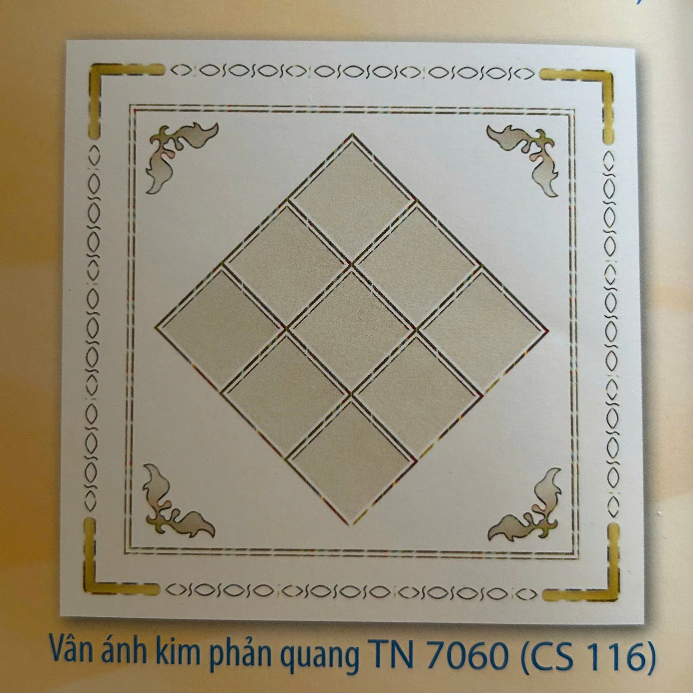 TẤM NHỰA 116