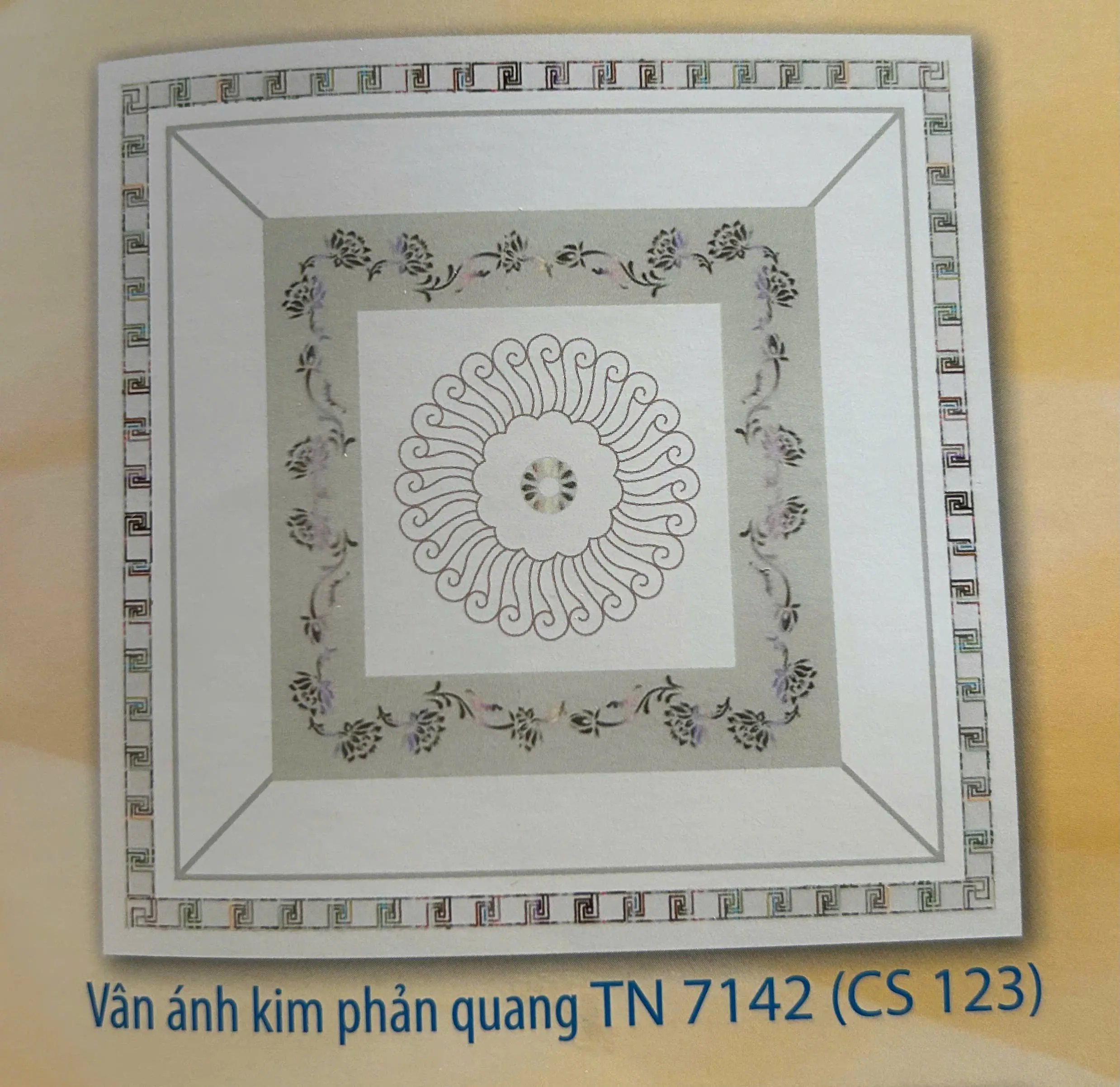 TẤM NHỰA 123