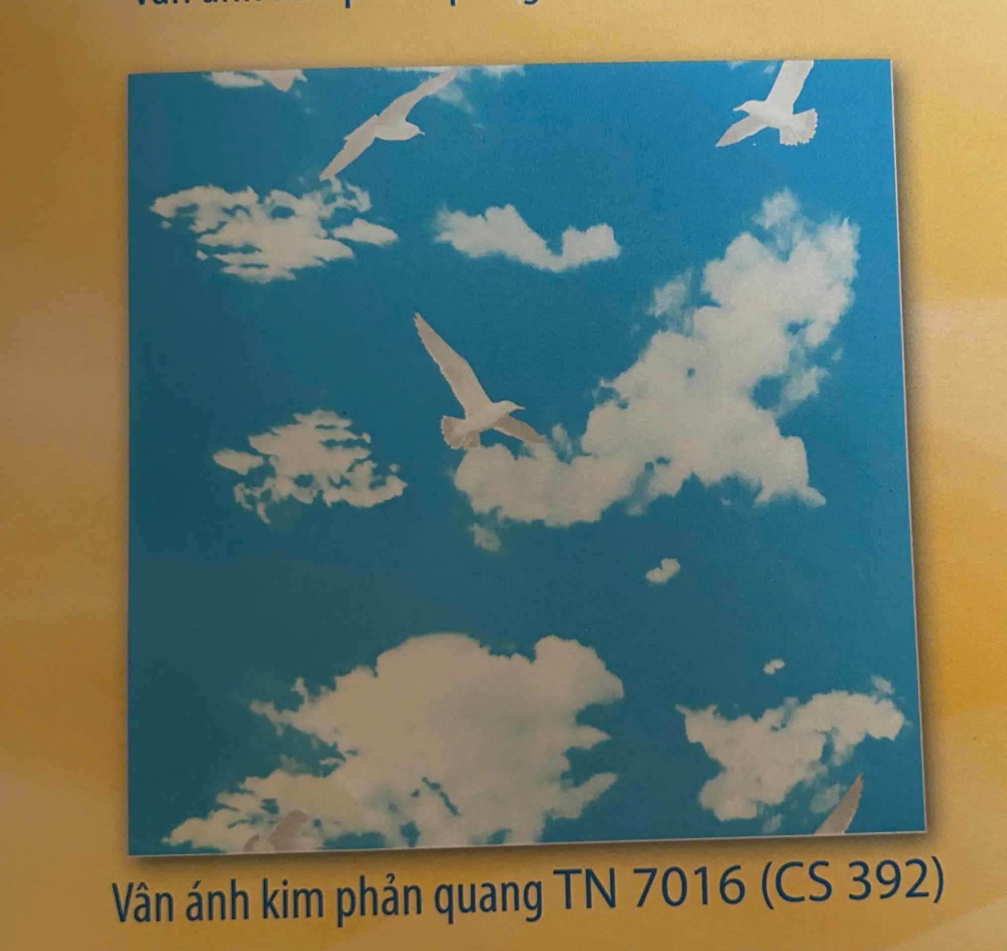 Vân Ánh Kim Phản Quang TN7016